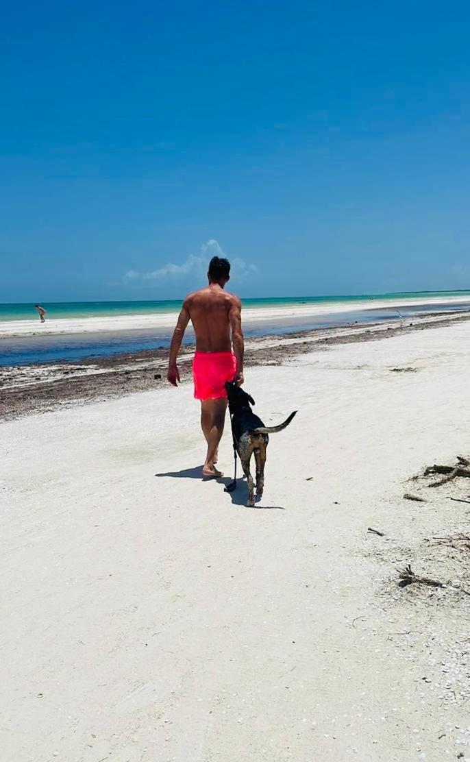 Pachamama Holbox - Hostel & Private Apartments ภายนอก รูปภาพ